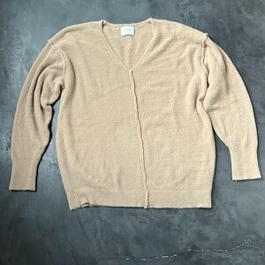 Aritizia Wilfred Hush Knit V Neck Slouchy Sweater